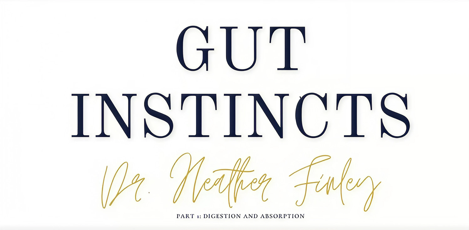 Gut/Brain Series Part 1: The Gut Brain Connection in Mental Health and Eating Disorder Treatment